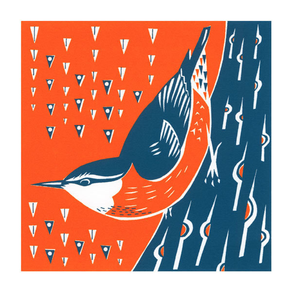 Catherine Bowdler - nuthatch