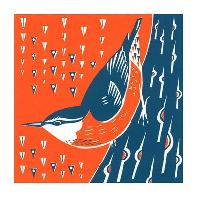 Catherine Bowdler - nuthatch