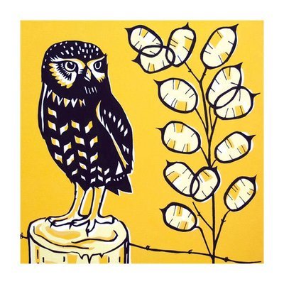 Catherine Bowdler - little owl