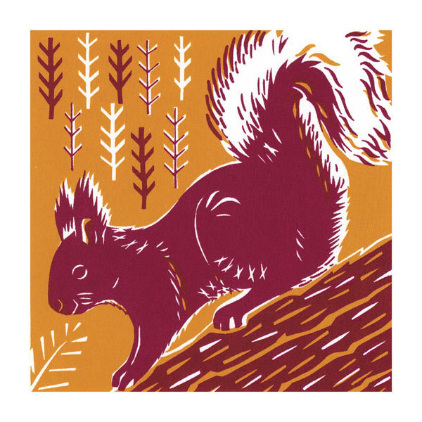 Catherine Bowdler - red squirrel
