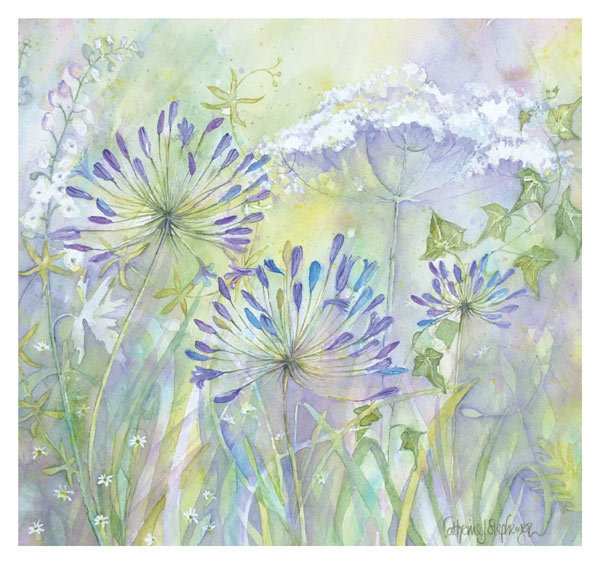 Catherine Stephenson  - Agapanthus Grasses