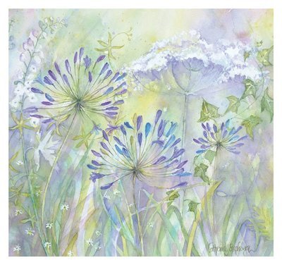 Catherine Stephenson  - Agapanthus Grasses