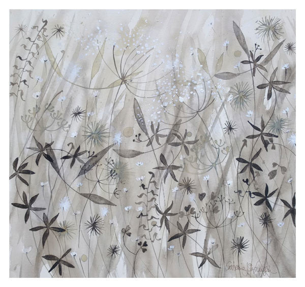 Catherine Stephenson  - wildflowers