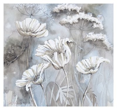 Catherine Stephenson  -  white poppies