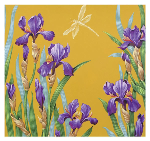 David Wolverson - Blue iris - mini card