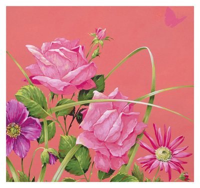 David Wolverson - Pink roses