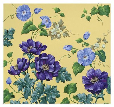 David Wolverson - purple flowers