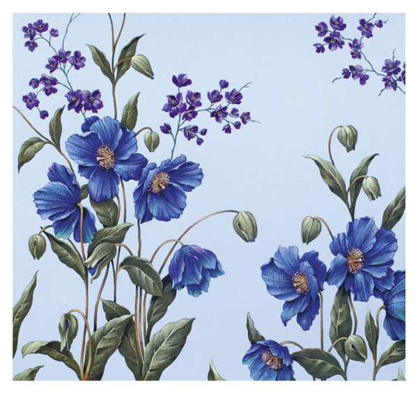David Wolverson - purple flowers - mini cards