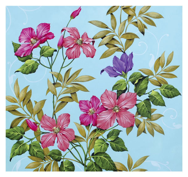 David Wolverson - Clematis
