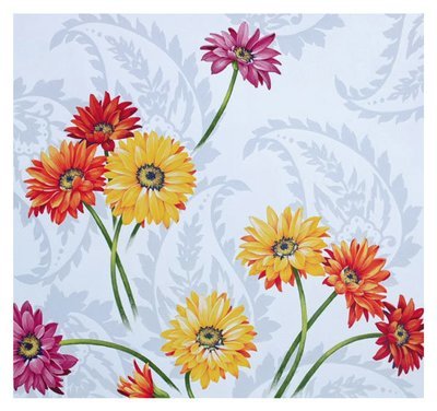 David Wolverson - Gerbera