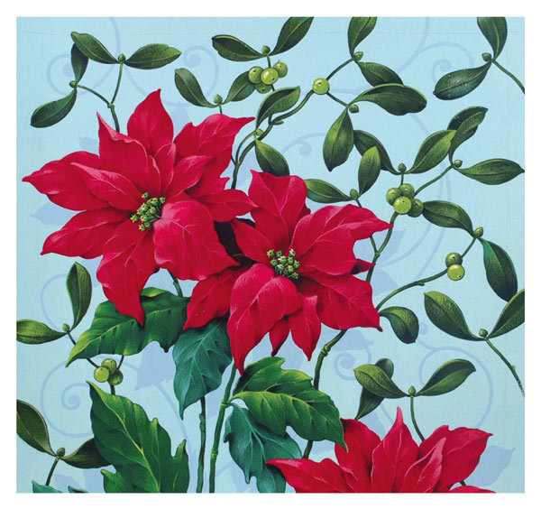 David Wolverson - poinsettia and mistletoe