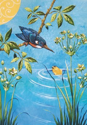 David Wolverson - kingfisher