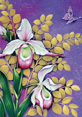 David Wolverson - Orchids and butterfly