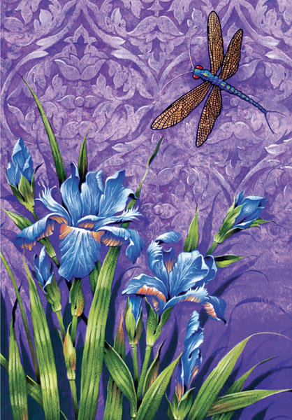 David Wolverson - Iris and dragonfly