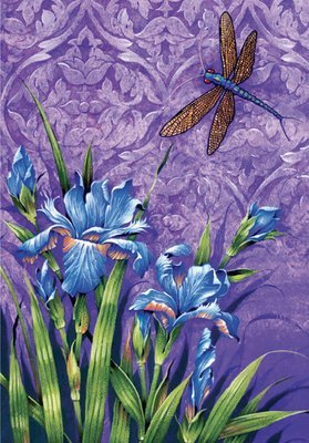 David Wolverson - Iris and dragonfly