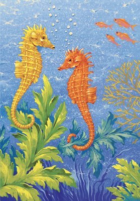 David Wolverson - seahorses