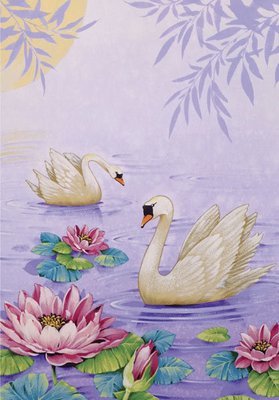 David Wolverson - swans