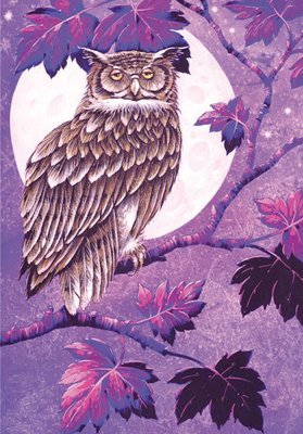 David Wolverson - owl by moonlight