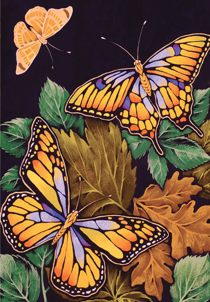 David Wolverson - butterflies