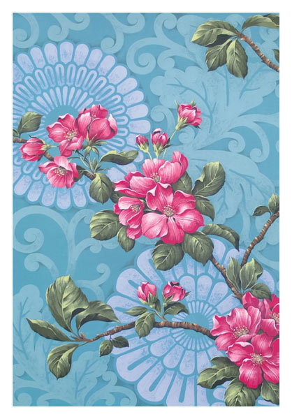 David Wolverson - pink blossom