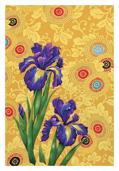 David Wolverson - Iris