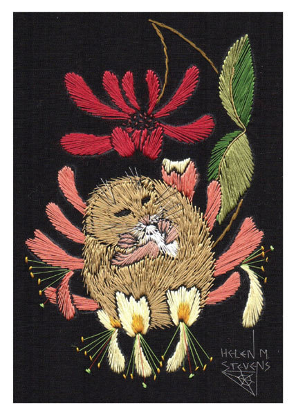 Helen M. Stevens - Dormouse