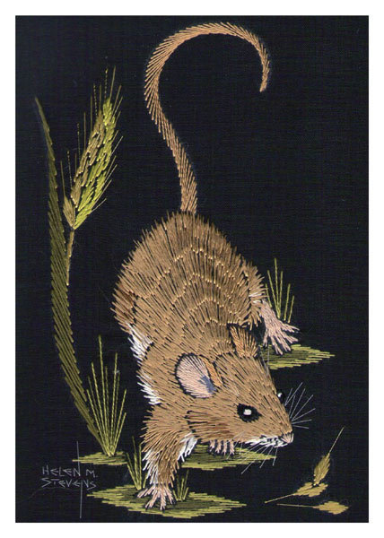 Helen M. Stevens - Field mouse
