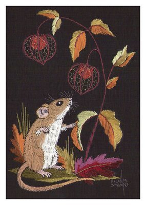 Helen M. Stevens - Mouse