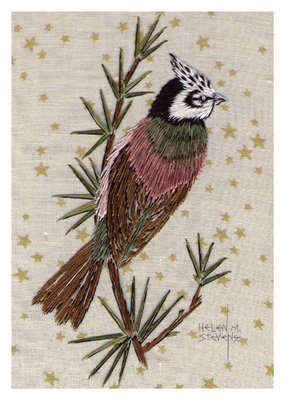 Helen M. Stevens - Crested tit
