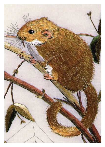 Helen M. Stevens - Field Mouse