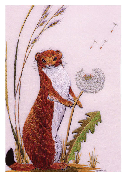 Helen M. Stevens - Stoat