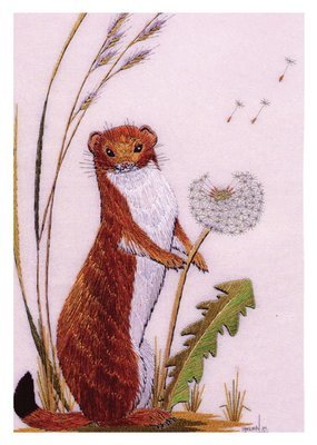 Helen M. Stevens - Stoat