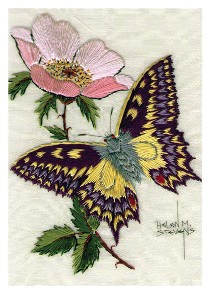 Helen M. Stevens - Swallowtail and dog rose