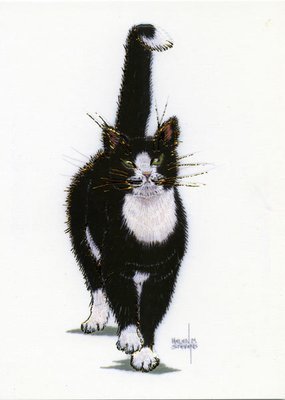 Helen M. Stevens - Tuxedo cat
