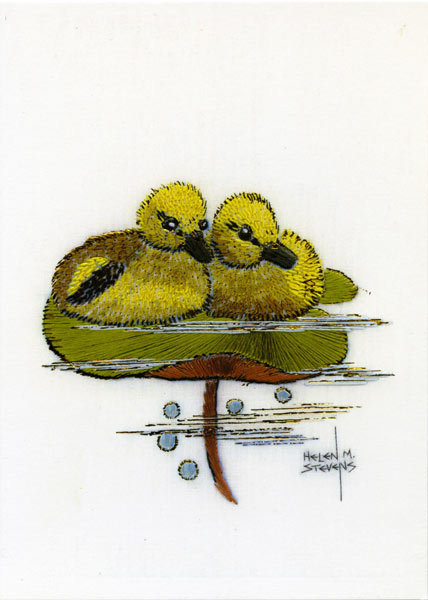 Helen M. Stevens - ducklings