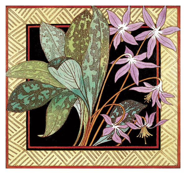 Jackfield tile museum card - Erythronium dog&#39;s tooth violet