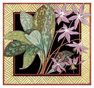 Jackfield tile museum card - Erythronium dog&#39;s tooth violet