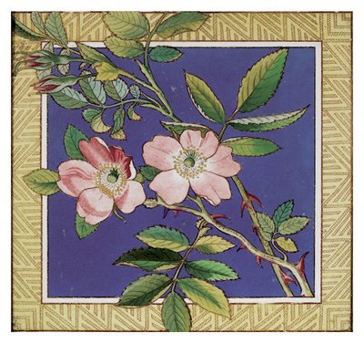 Jackfield tile museum card - Dog rose