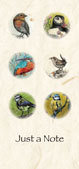 Annabel Langrish Notepads