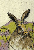 Annabel Langrish notebooks