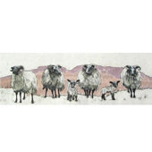 Sheep