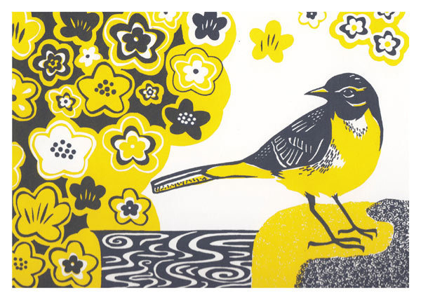 Catherine Bowdler - Grey wagtail
