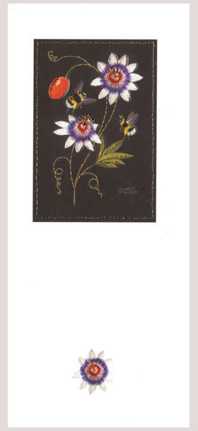 Helen M Stevens - Passion flowers
