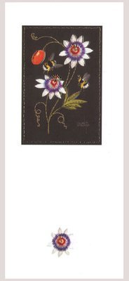 Helen M Stevens - Passion flowers