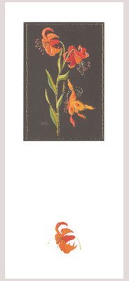 Helen M Stevens -from an embroidery Chinese lily and butterfly