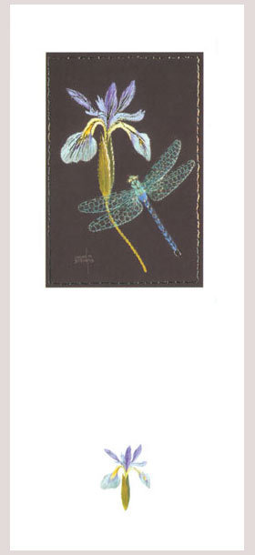 Helen M Stevens - Dragonfly and iris