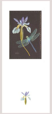 Helen M Stevens - Dragonfly and iris
