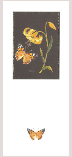 Helen M Stevens - lily and butterfly