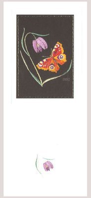 Helen M Stevens - Peacock butterfly