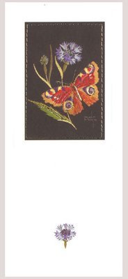 Helen M Stevens - Peacock butterfly and cornflower